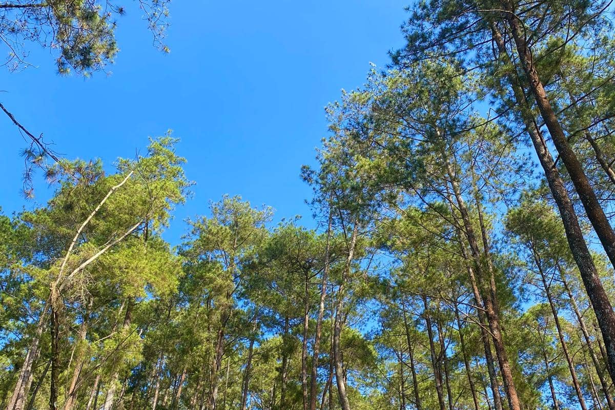 potret Gunung Luhur