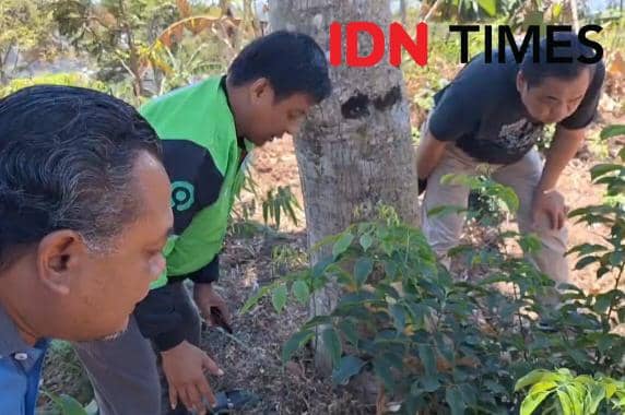Bikin Geger, Bayi Baru Lahir Ditemukan di Kebun Warga Magetan