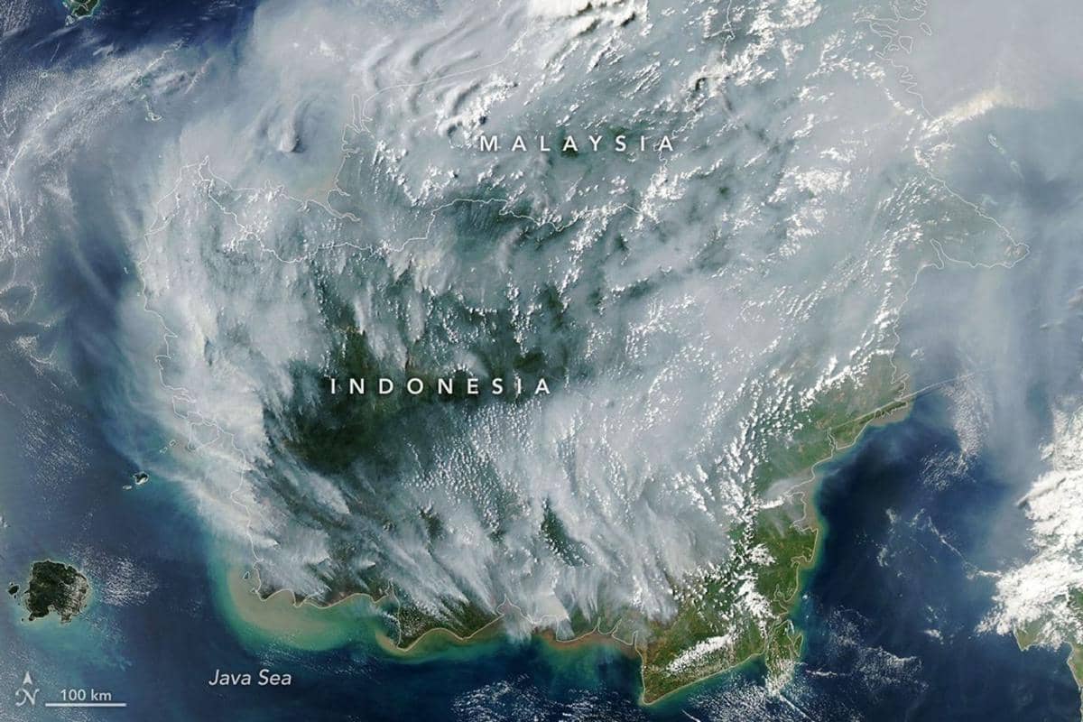 NASA Ungkap Sisi Gelap Karhutla, Hotspot Turun Belum Tentu Api Padam