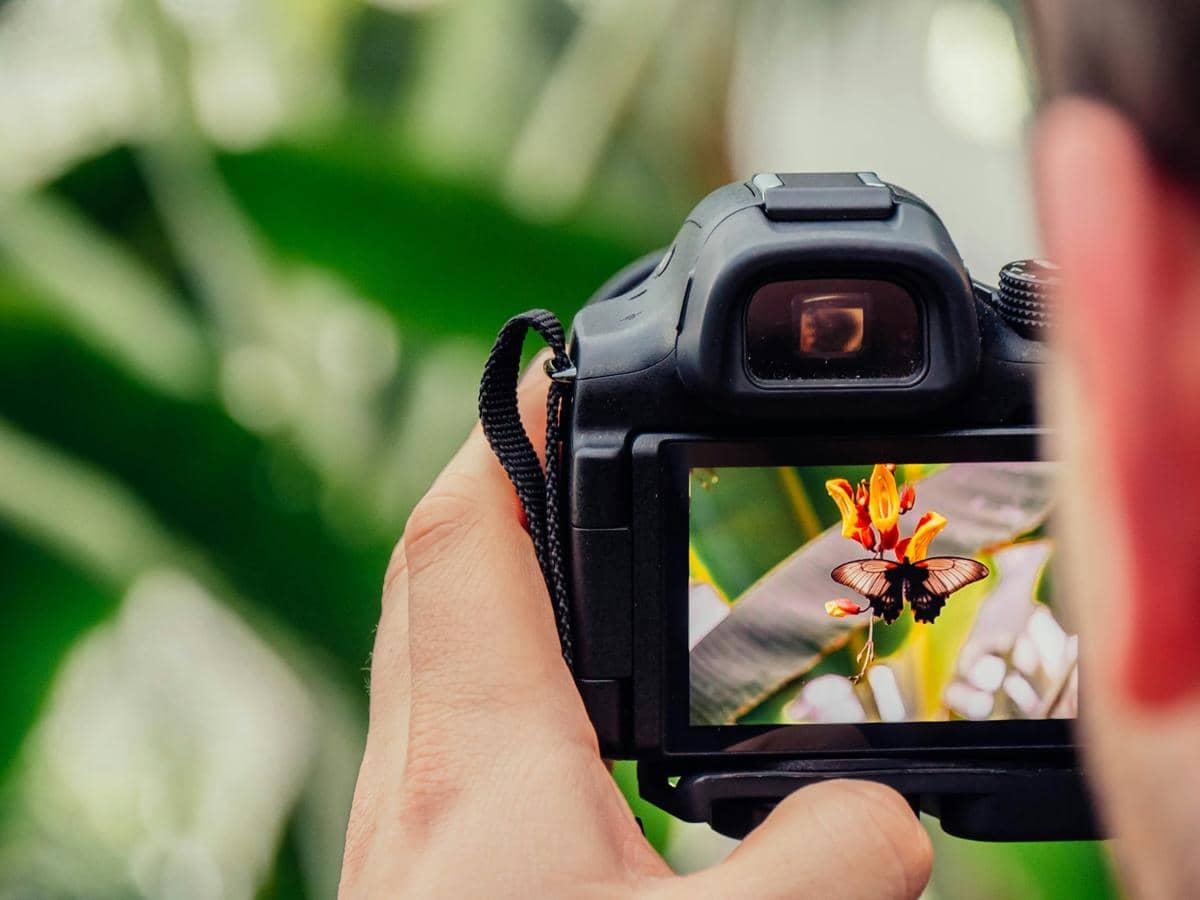 ilustrasi fotografi di alam