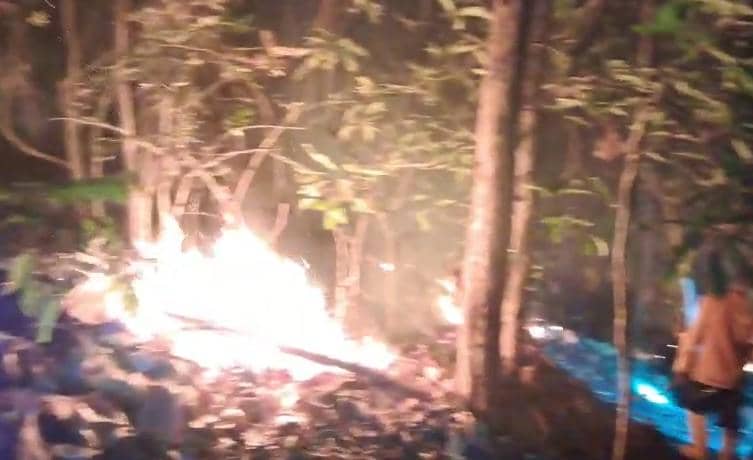 Kebakaran Hanguskan 5 Hektare Hutan TWA Lejja Soppeng