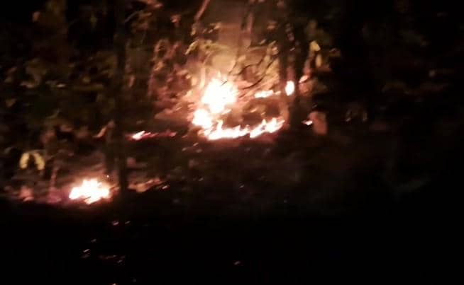 Kebakaran hanguskan sekitar 5 hektare lahan di Lejja, Kabupaten Soppeng, Sulawesi Selatan, Jumat (4/9/2026). Dok. BKSDA Sulsel