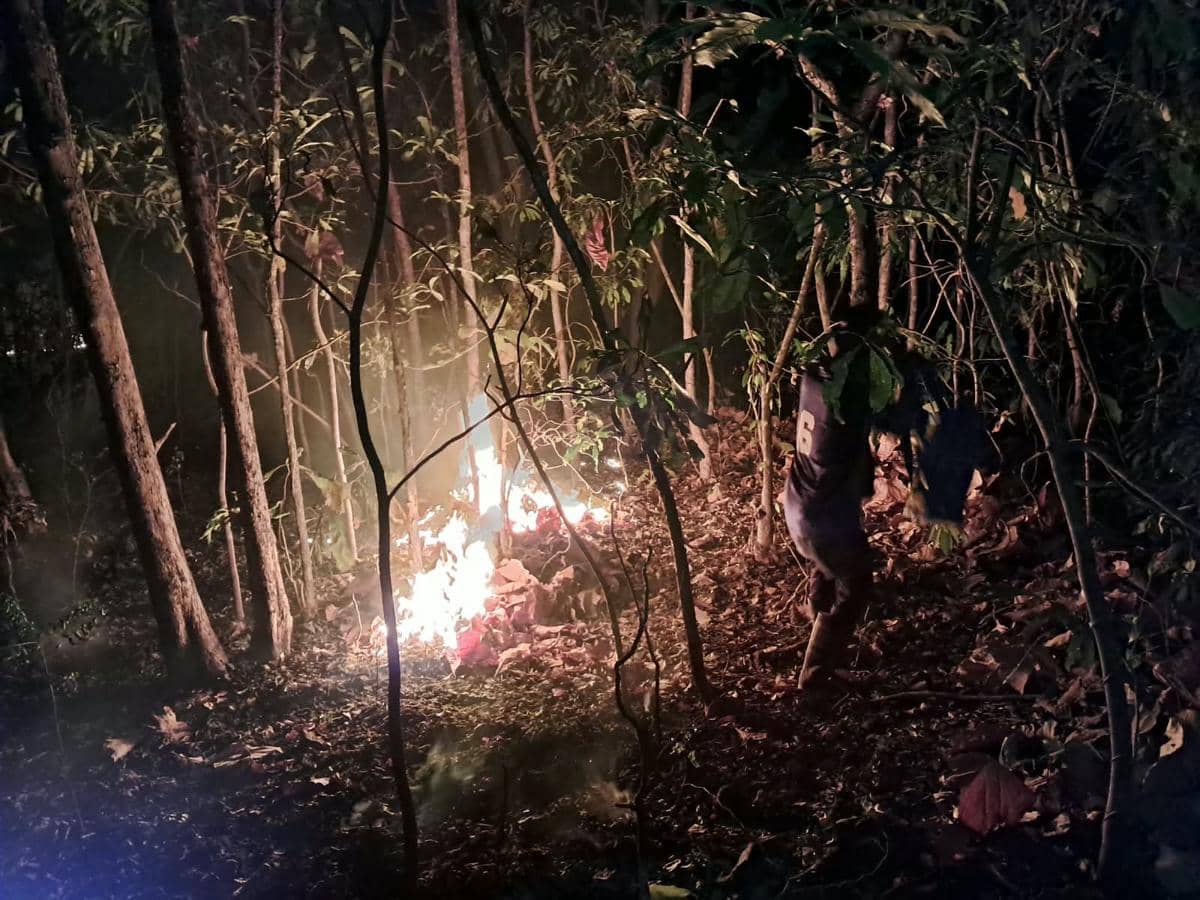 Kebakaran hanguskan sekitar 5 hektare lahan di Lejja, Kabupaten Soppeng, Sulawesi Selatan, Jumat (4/9/2026). Dok. BKSDA Sulsel