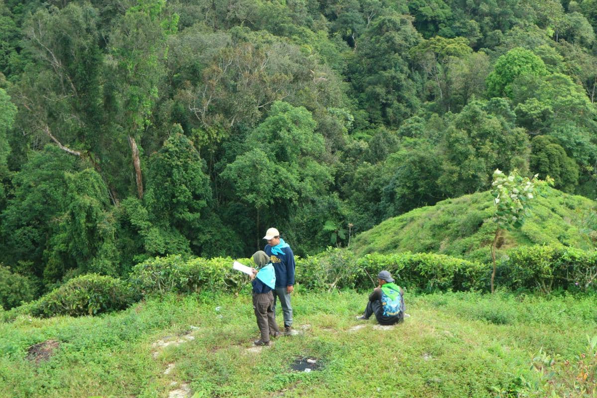 Ekowisata Ramah Satwa, 7 Cara Liburan Tanpa Merusak Habitat