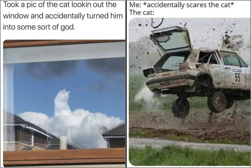 8 Meme Kucing tentang Momen Gak Disengaja, Babu Suka Ngagetin!