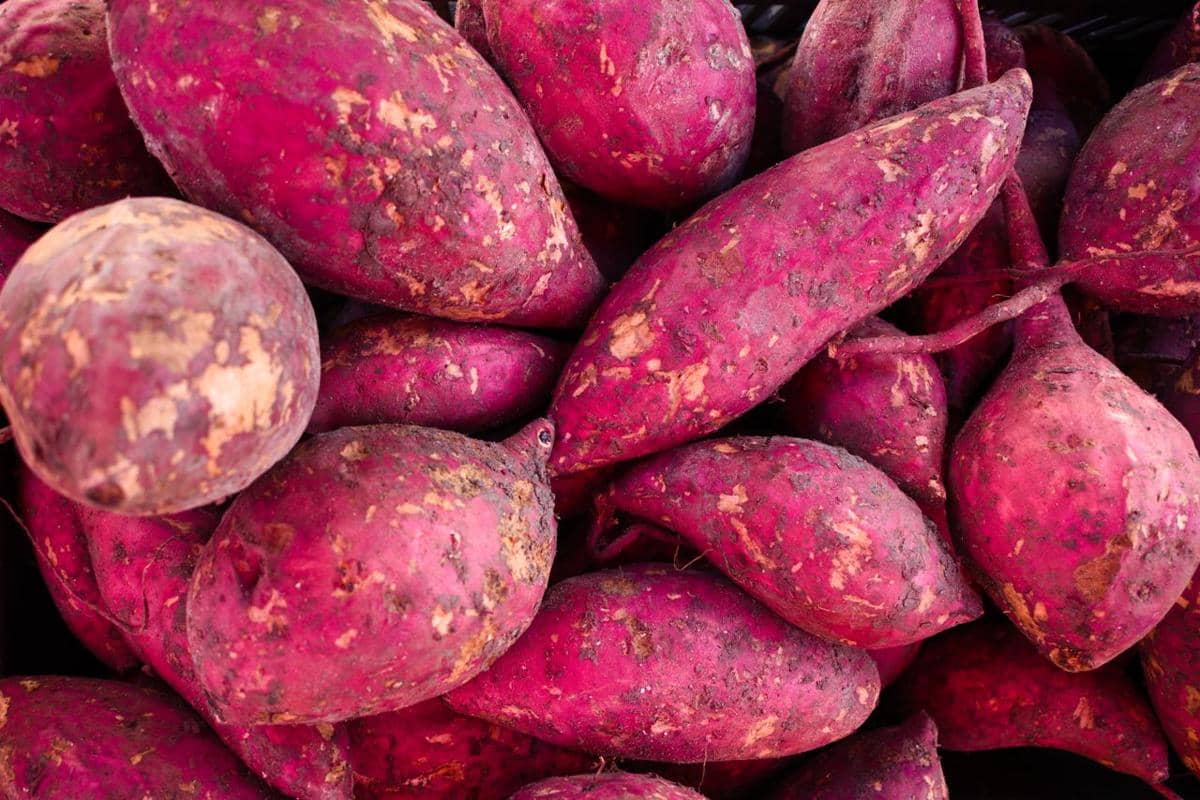 Sejumlah ubi yam berkulit cokelat tersusun di atas permukaan kayu, dengan satu umbi terbelah memperlihatkan daging putih.