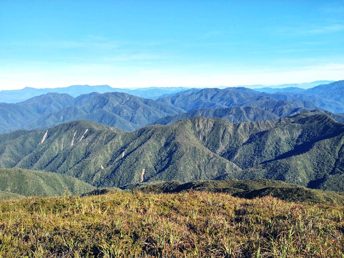 5 Tantangan Mendaki Gunung Leuser yang Bikin Kewalahan Pendaki