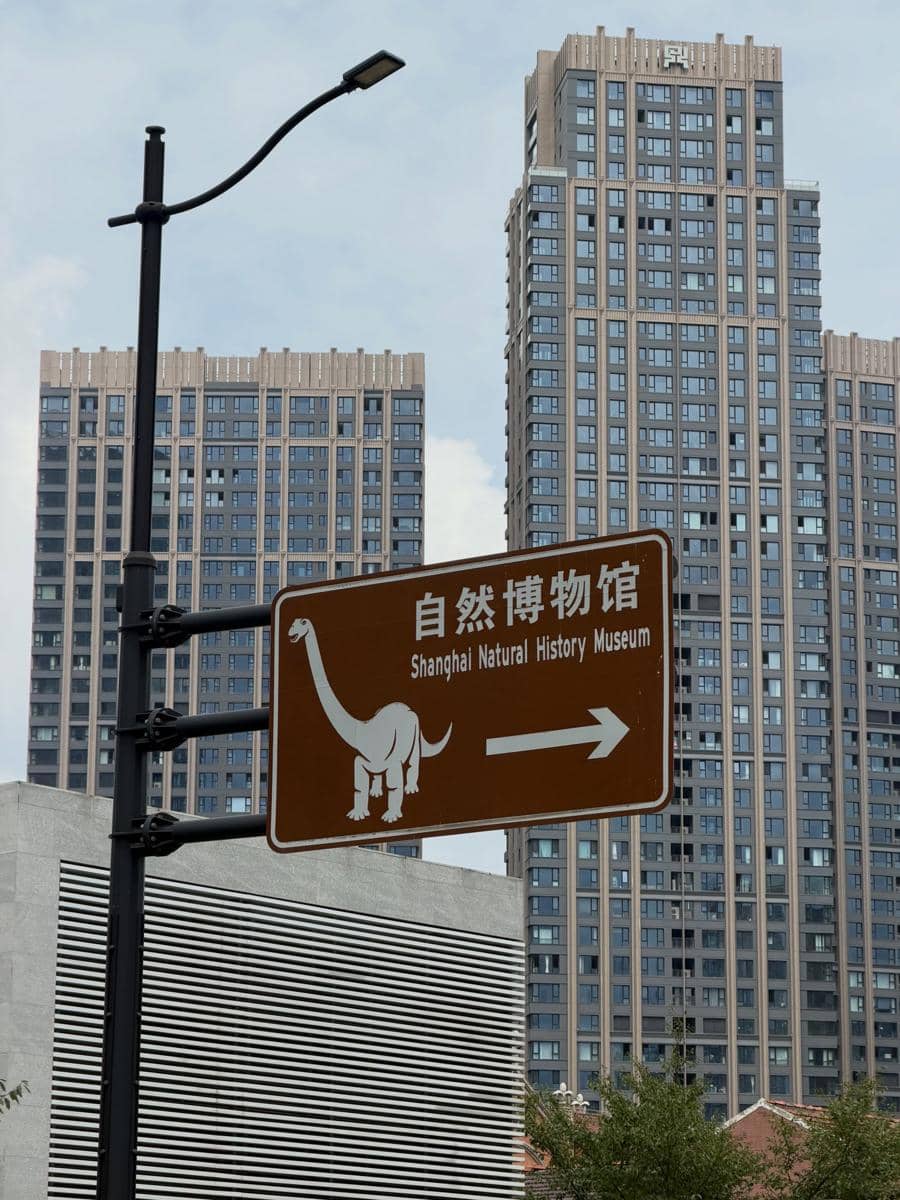 Keluarga Hanum Mega liburan di Shanghai