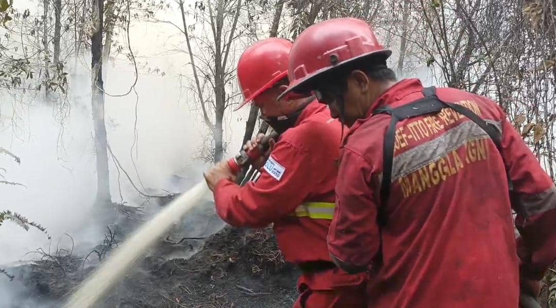 Kebun Raya Sriwijaya Terbakar, Api di Lapisan Gambut Capai 1 Meter