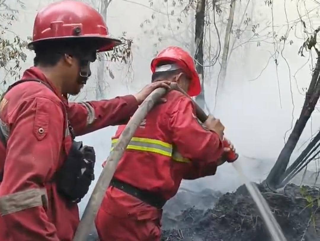 Tim Manggala Agni Daops Banyuasin saat berjibaku melakukan pemadaman di Kebun Raya Sriwijaya 