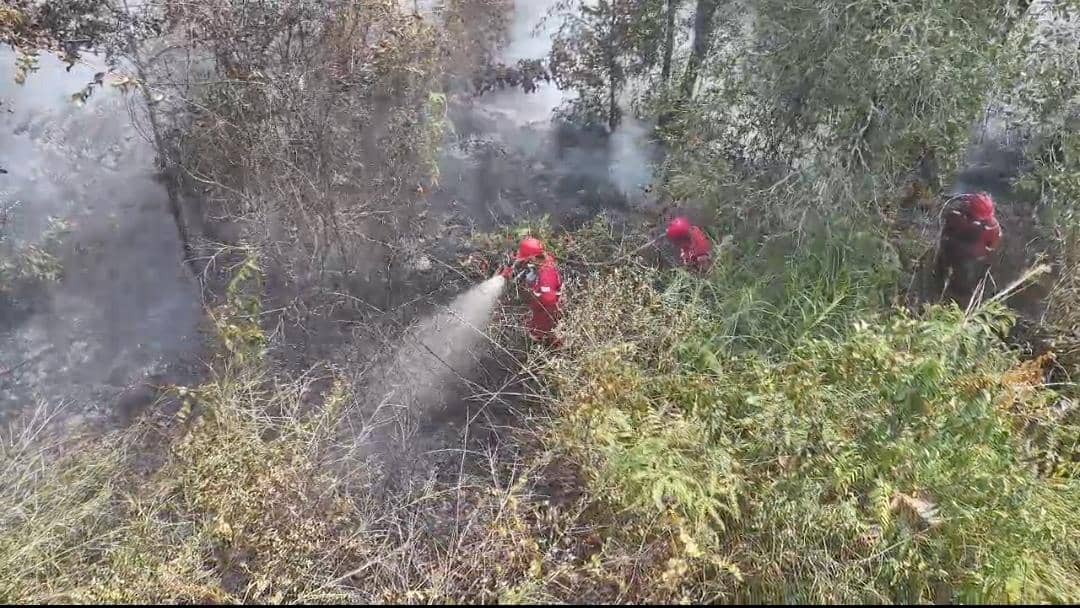 Tim Manggala Agni Daops Banyuasin saat berjibaku melakukan pemadaman di Kebun Raya Sriwijaya 