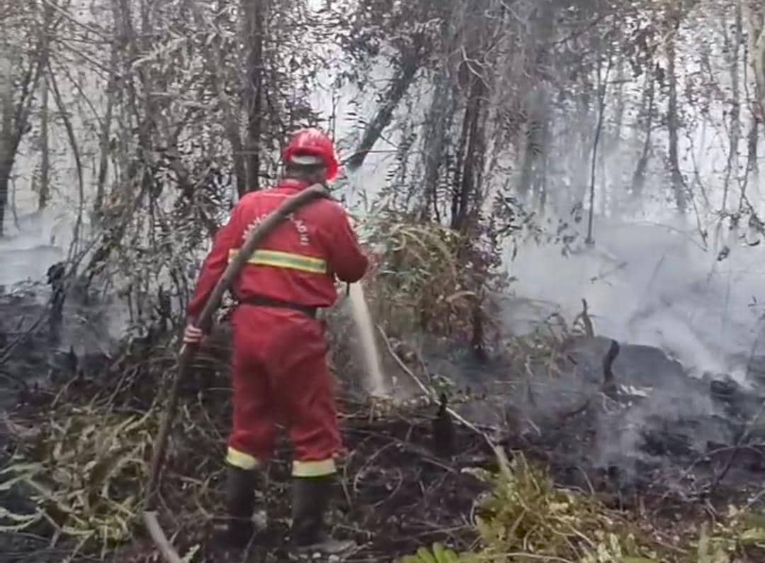 Tim Manggala Agni Daops Banyuasin saat berjibaku melakukan pemadaman di Kebun Raya Sriwijaya 
