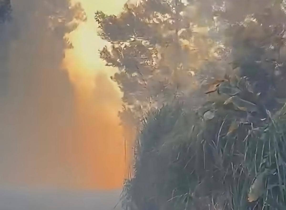 Kebakaran hutan dan lahan terjadi di kawasan Pegunungan Ijen, dengan asap terlihat dari area perbukitan.