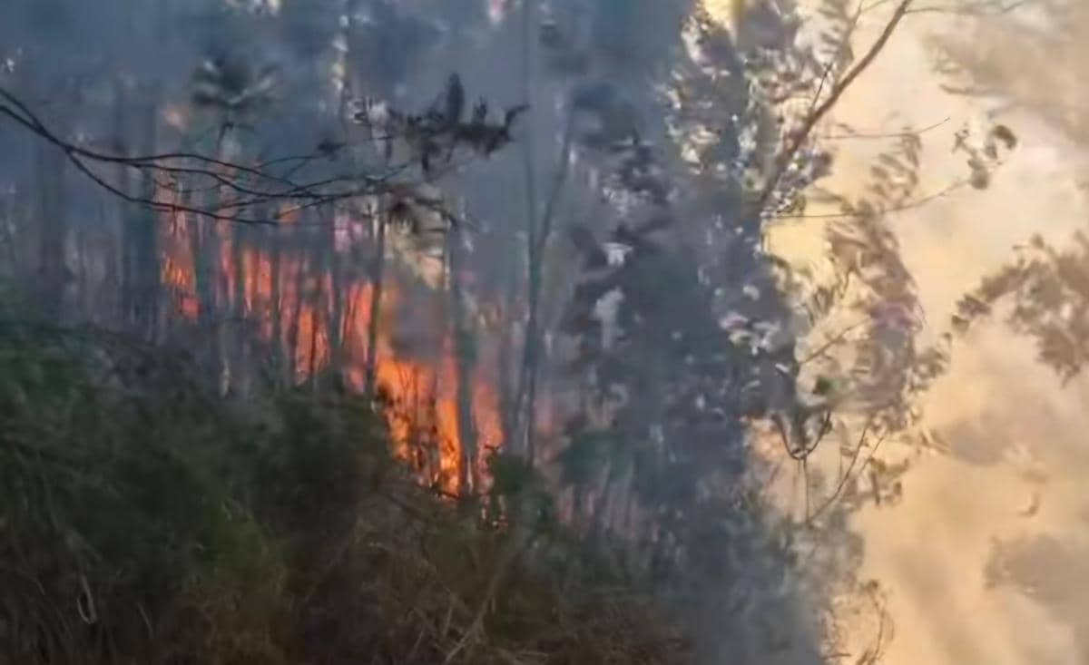 Pendakian Kawah Ijen Ditutup karena Karhutla Membara
