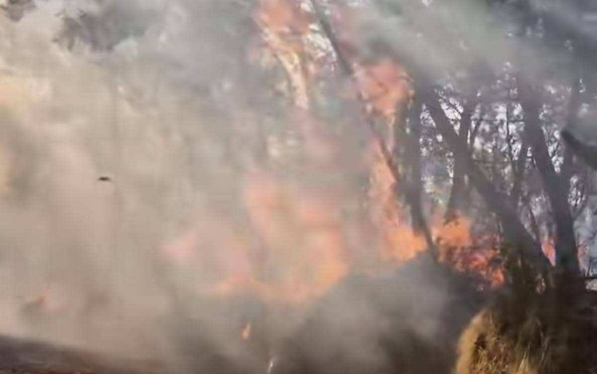 Asap dari kebakaran hutan dan lahan menyelimuti kawasan Pegunungan Ijen, dengan api membakar area vegetasi.