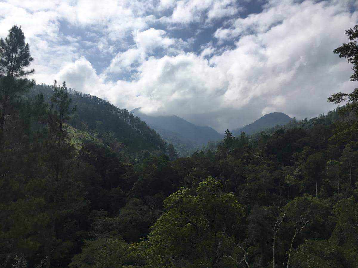 Gunung Leuser