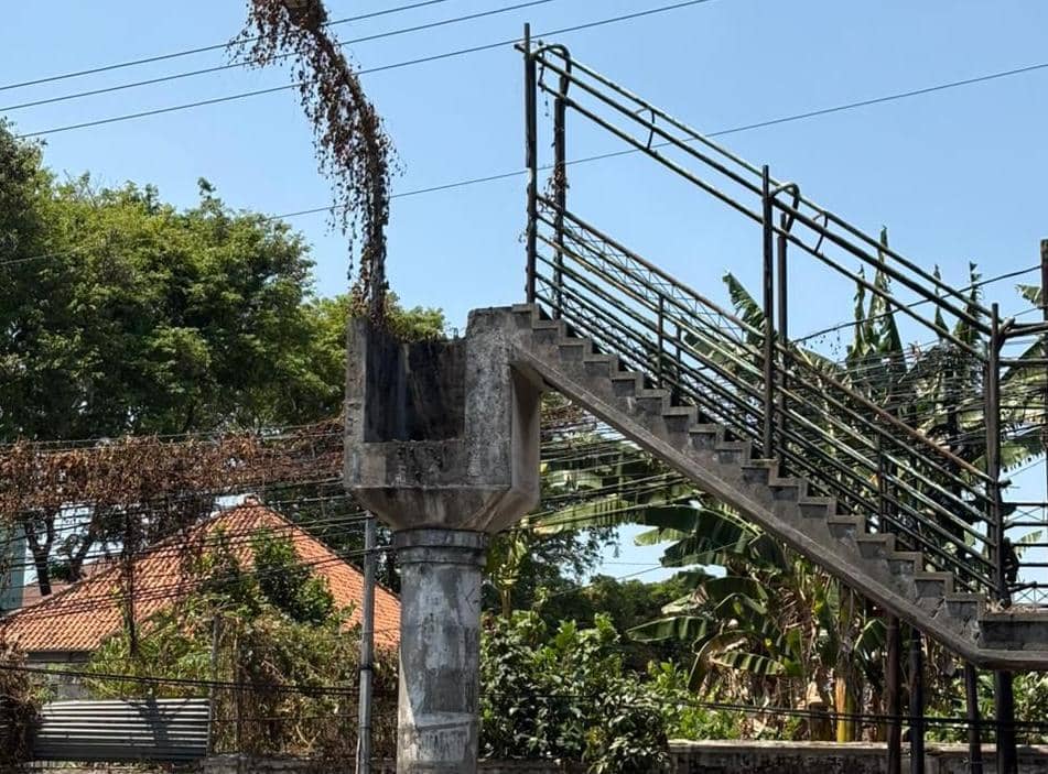 jpo, jembatan penyebrangan orang