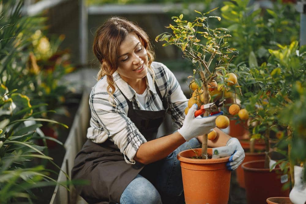 ilustrasi perempuan berkebun