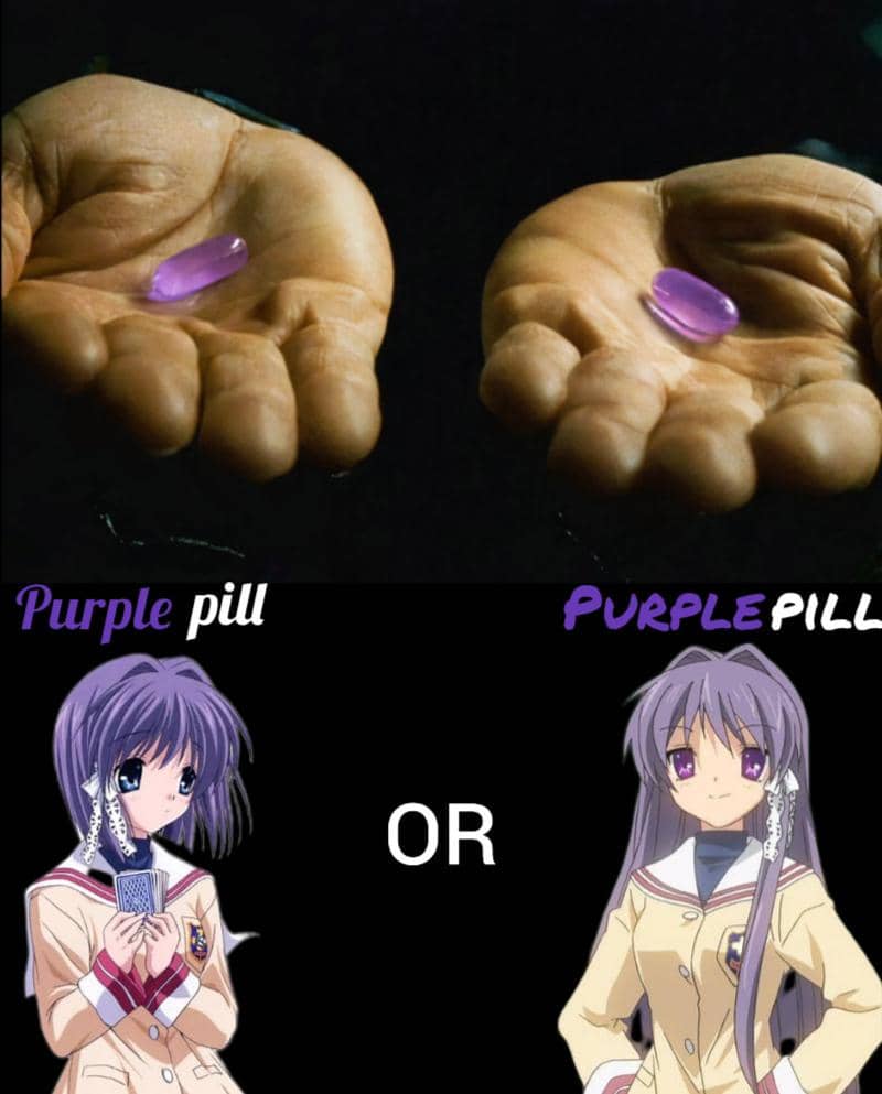 meme anime tentang pil