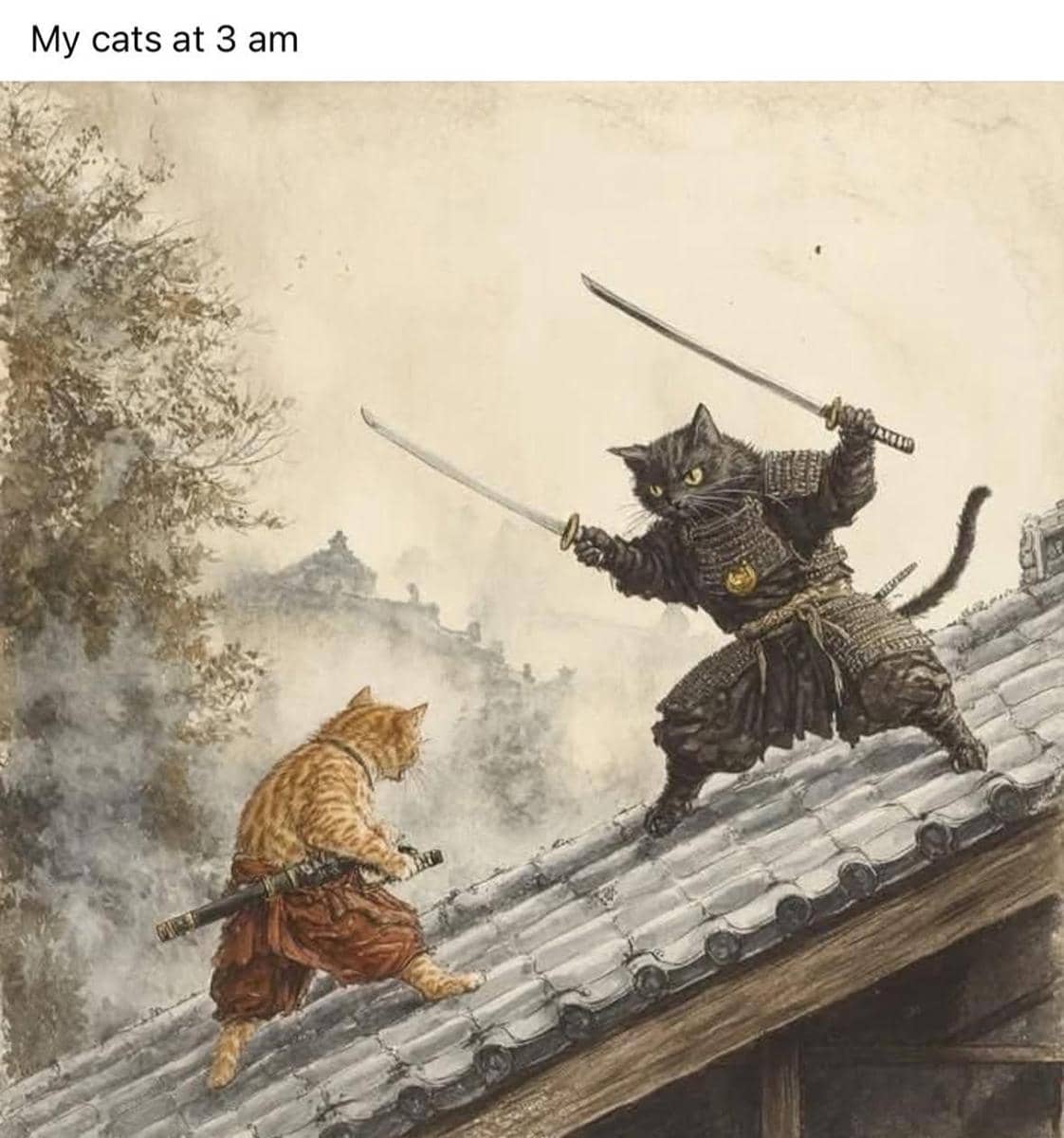 meme kucing tentang mood