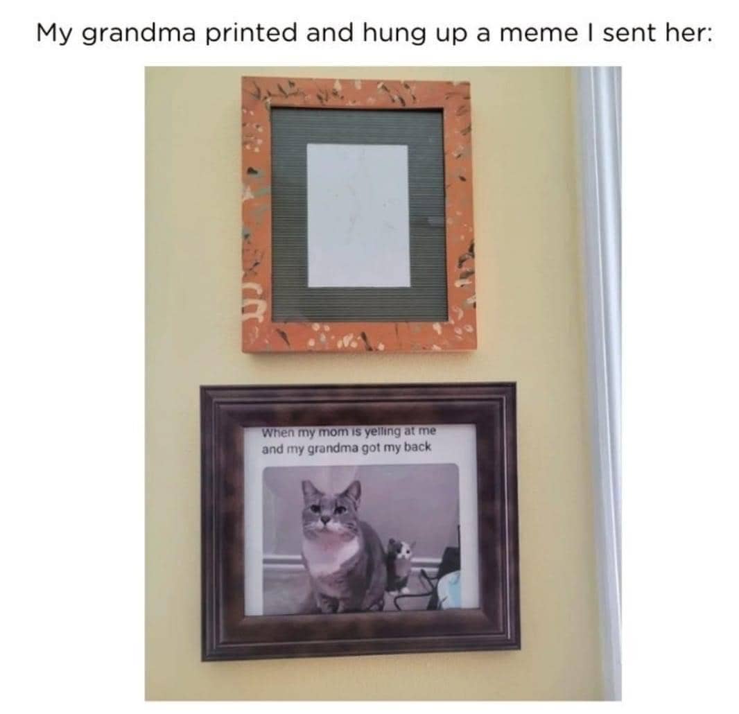 meme kucing tentang nenek