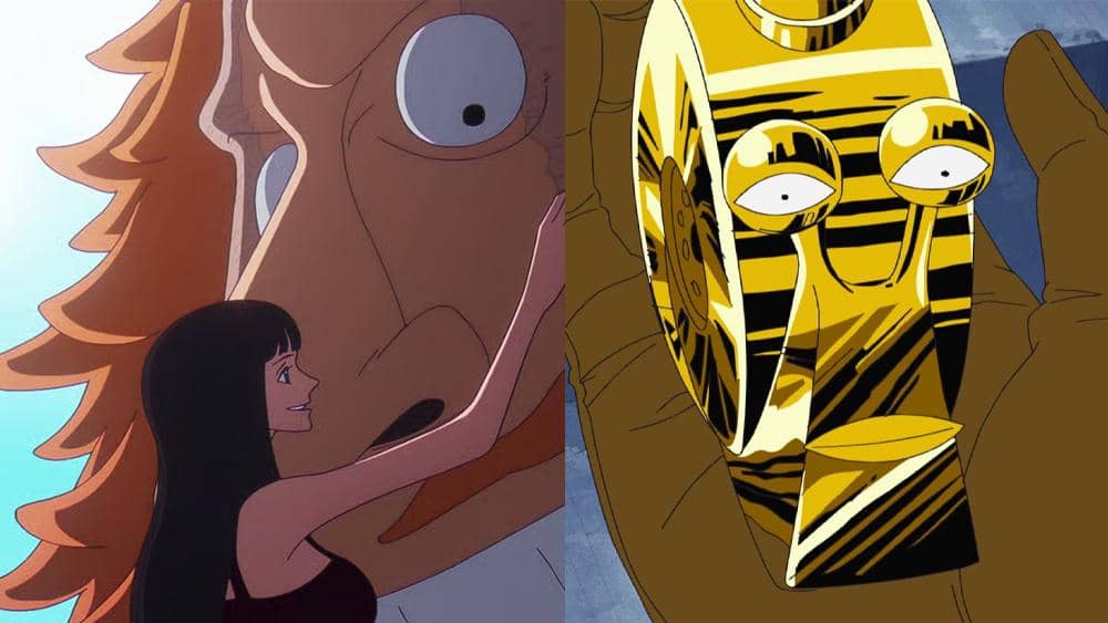 8 Grup dan Orang yang Selamat dari Buster Call One Piece!