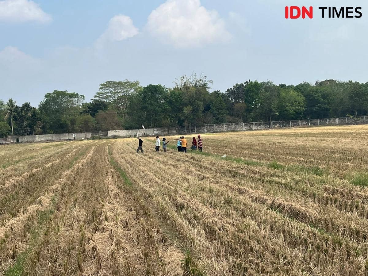 Sengketa Tanah di Sukarame, Warga Klaim Miliki Hak Mulai Duduki Lahan
