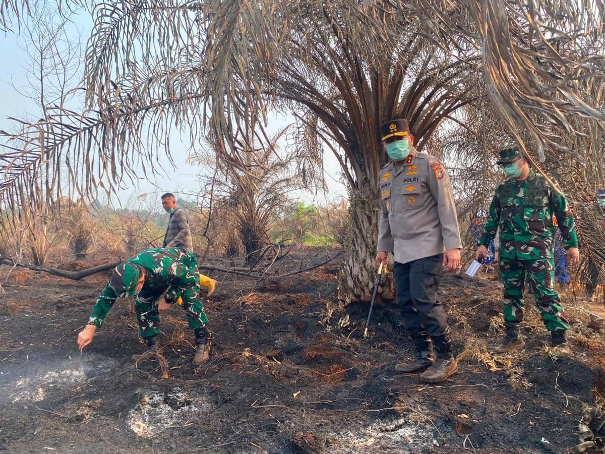 Kapolda-Pangdam Cek Karhutla Siak, 4 Wilayah Riau Jadi Perhatian