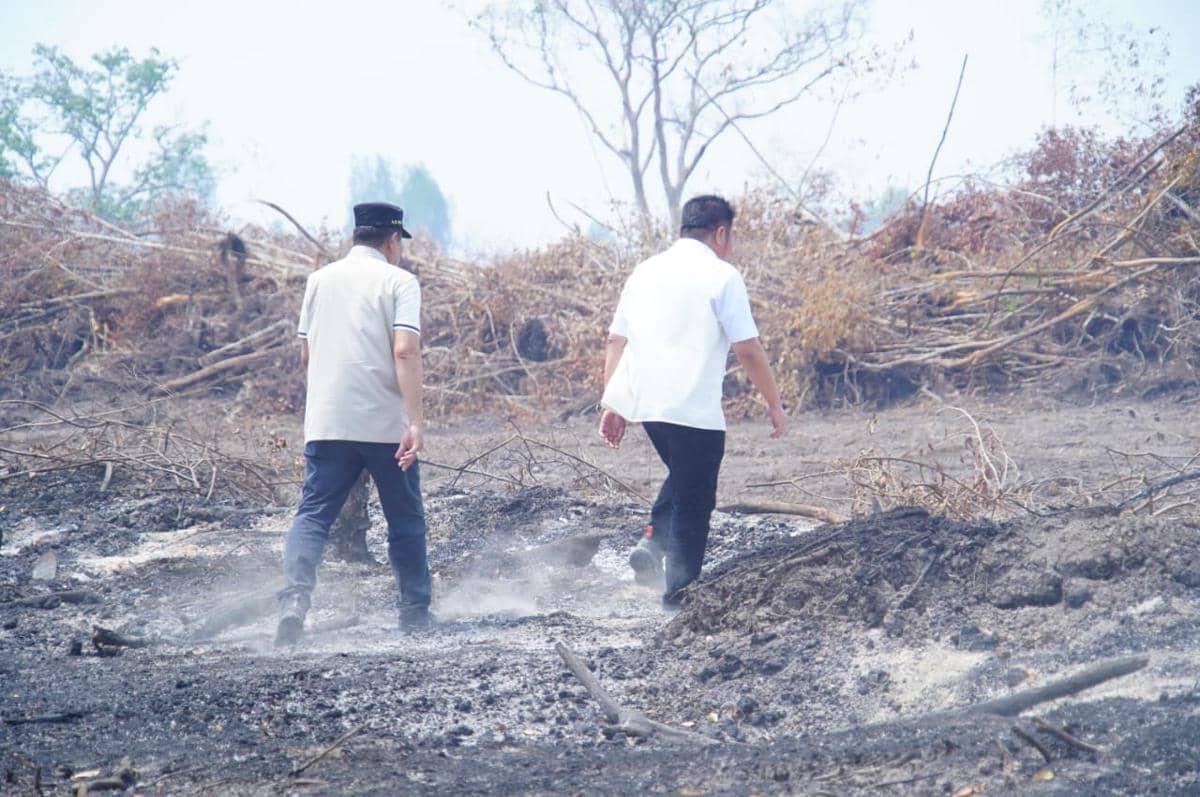 Gubernur Sumsel saat meninjau sejumlah titik karhutbunlah di Kecamatan Lais, Kabupaten Muba, Jumat (4/9/2026). 