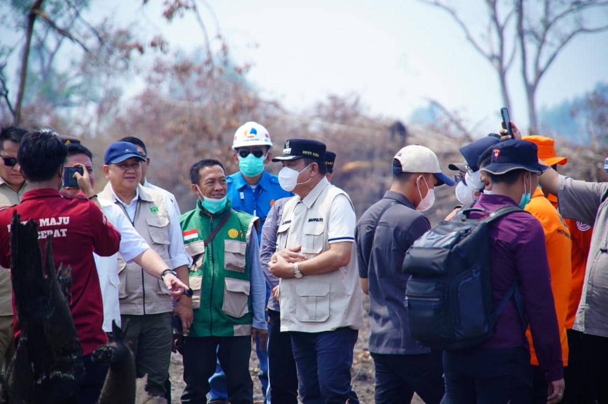 Tinjau Karhutla Lais, Gubernur Incar 977 Hektare Lahan Cetak Sawah