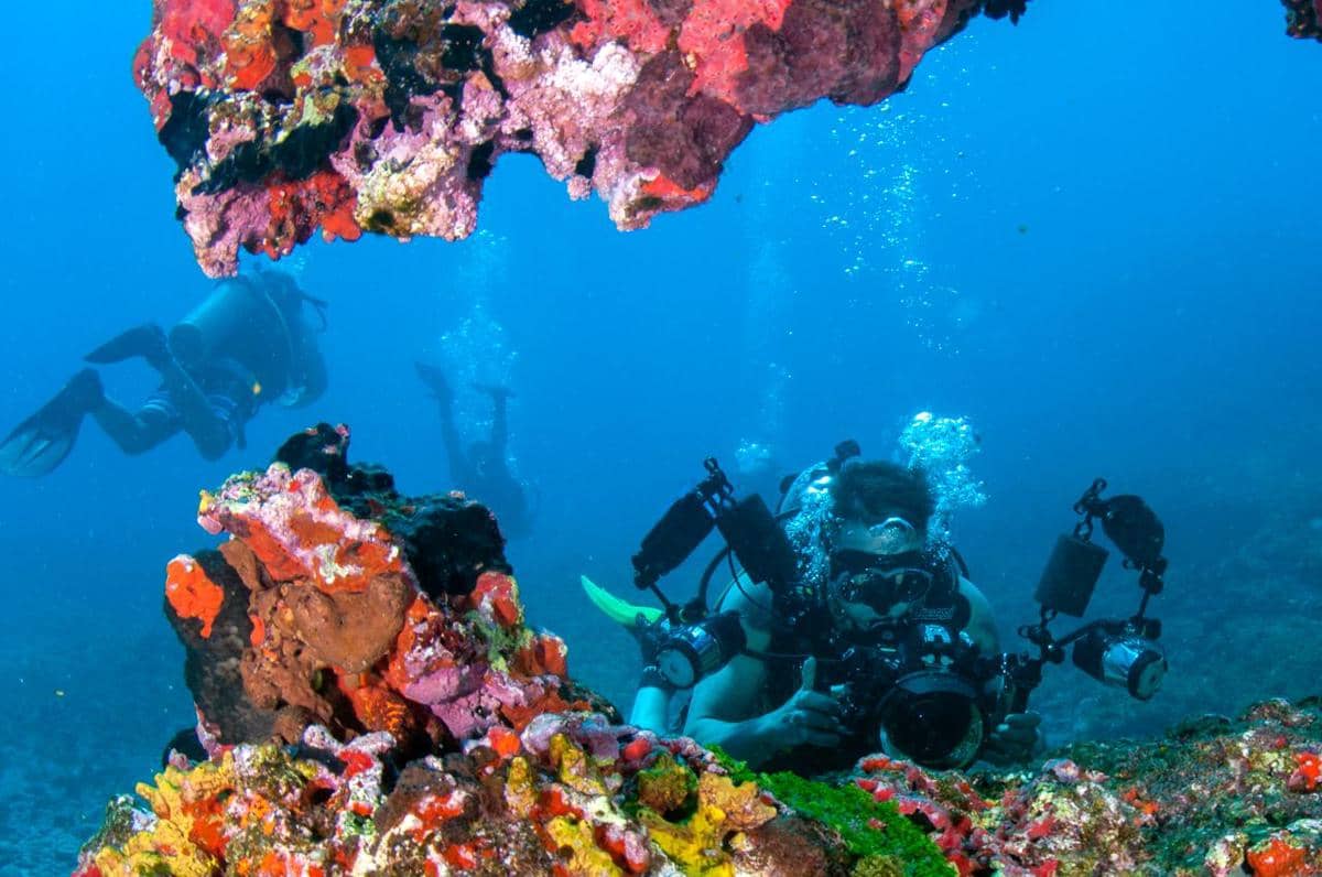 ilustrasi snorkeling