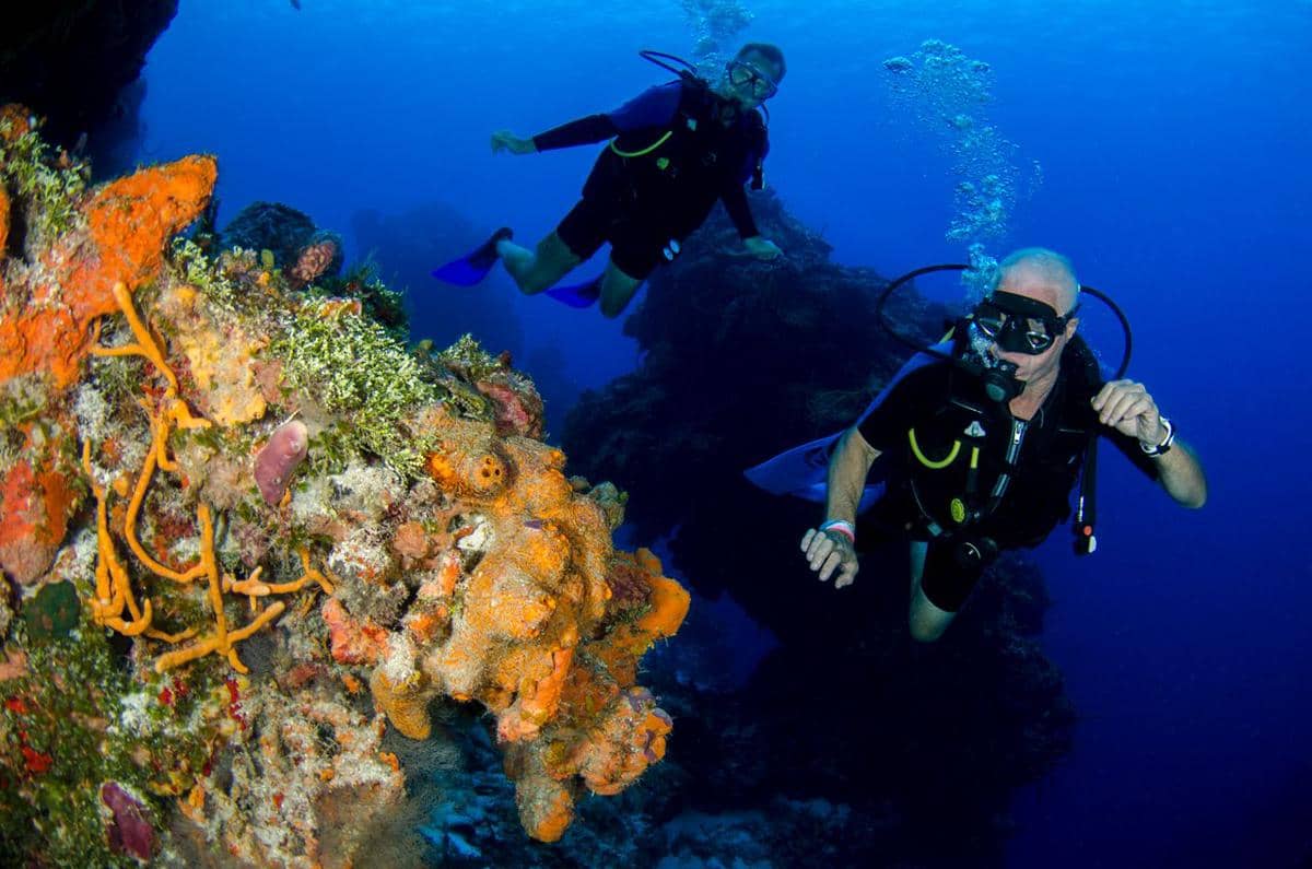 ilustrasi snorkeling