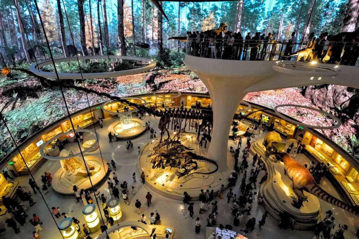 Shenzhen Natural History Museum, China
