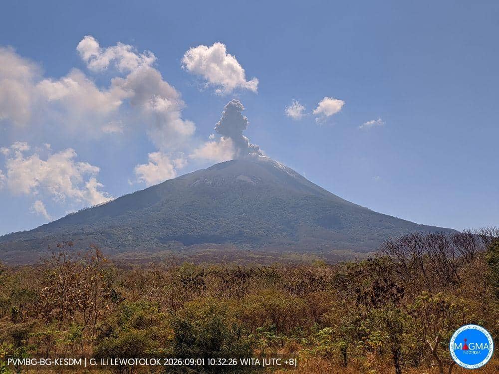 Erupsi Gunung Lewotolok pada 1 September 2026, dengan kolom material vulkanik membumbung dari kawah.