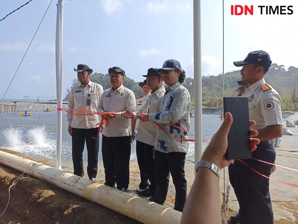 Napi Asimilasi Nusakambangan Cilacap Bantu Budidaya Udang Vaname