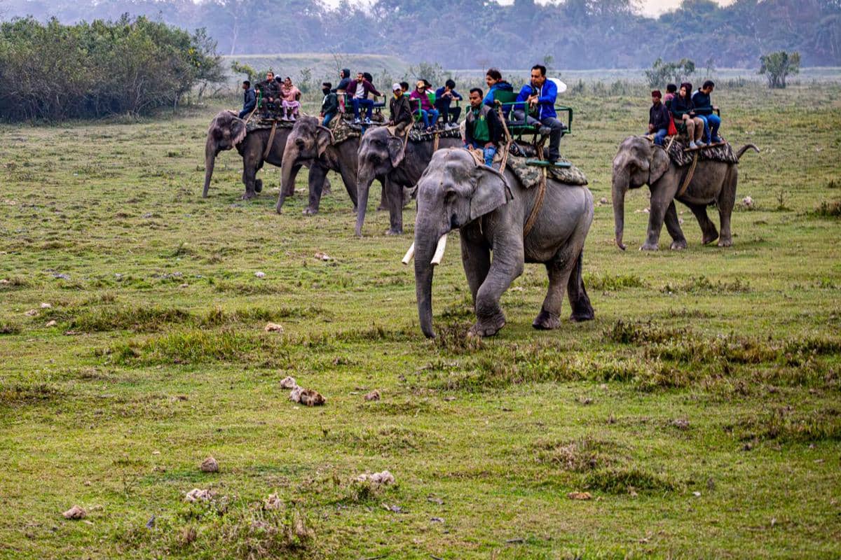 ilustrasi India, pariwisata India, wisatawan