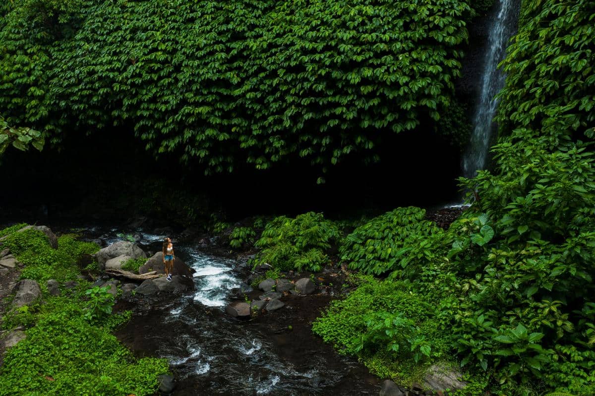ilustrasi air terjun yang bersumber langsung dari mata air pegunungan
