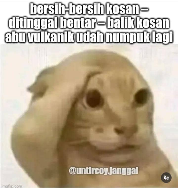 meme abu vulkanik