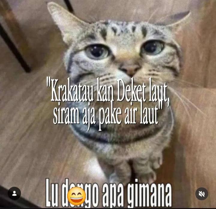 meme gunung