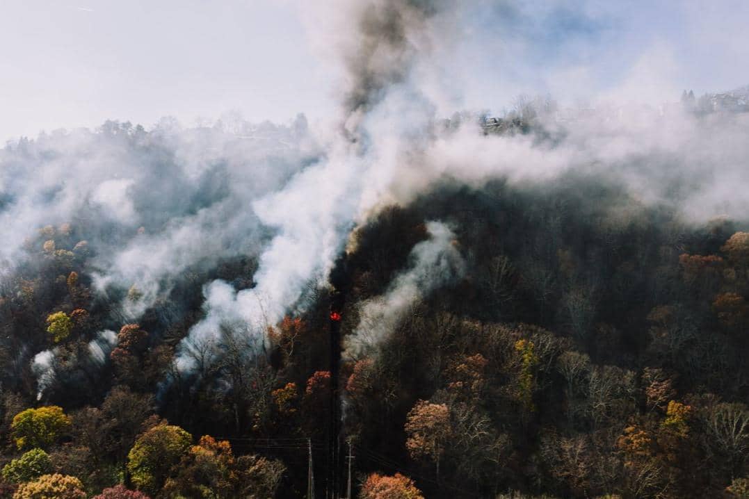 3.834 Hektare Jatim Terbakar, Ijen dan Gunung Butak Jadi Titik Panas