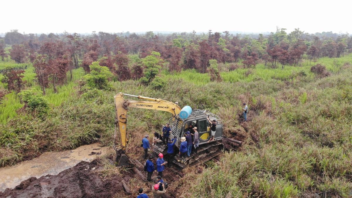 Di Tengah Karhutla, Hutan Ketapang Dibuka Ilegal dengan Ekskavator