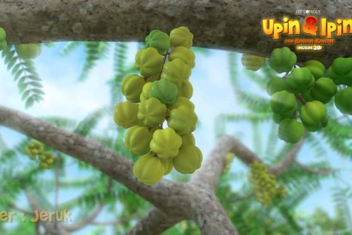 buah cermai