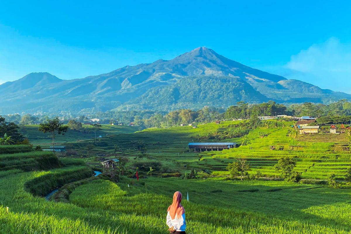 ilustrasi Gunung Arjuno
