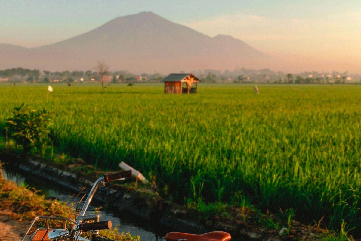 ilustrasi Gunung Arjuno