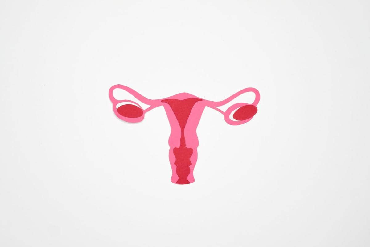 Ilustrasi anatomi ovarium perempuan dengan bentuk organ reproduksi yang disederhanakan sebagai materi visual kesehatan.