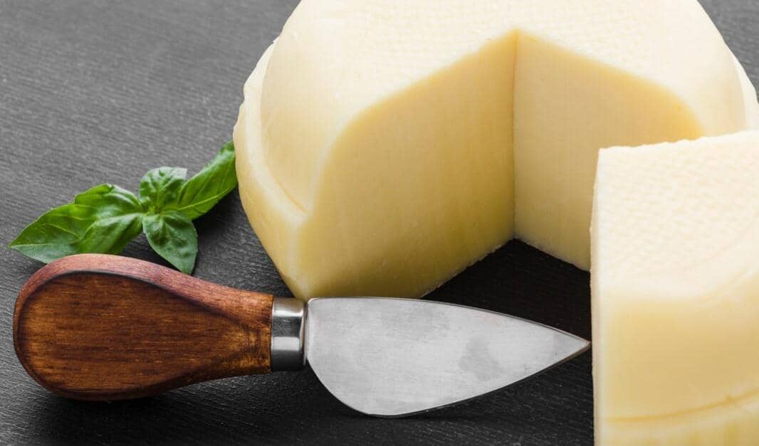 Keju mozzarella berwarna putih sebagai bahan makanan yang kerap digunakan dalam berbagai hidangan lezat.