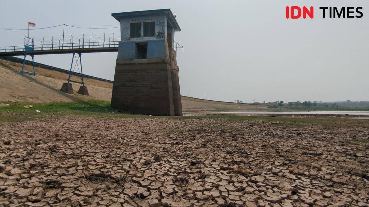 Waduk Dawuhan Tinggal 15 Persen, Petani Madiun Mulai Deg-degan