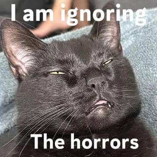 Meme kucing bertema momen horor dengan suasana menegangkan yang dibagikan oleh pengguna Reddit Same-Data-8278.