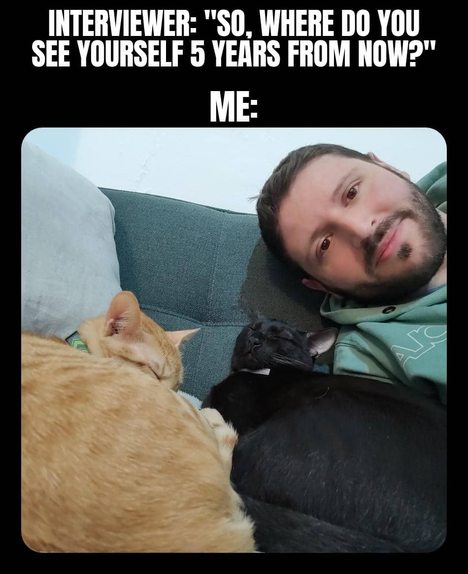 meme kucing tentang wawancara kerja
