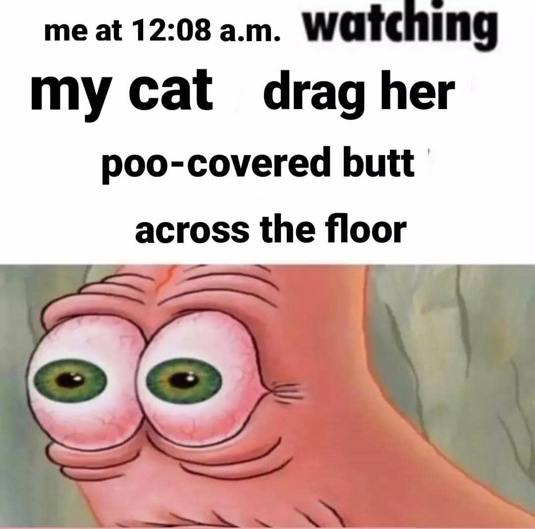 Seekor kucing dalam meme bertema horor menggambarkan kepanikan saat menyadari kompor mungkin masih menyala.